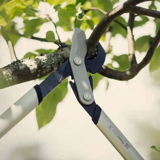 FISKARS Attrezzi da giardino - Troncarami, misura M 1020187
